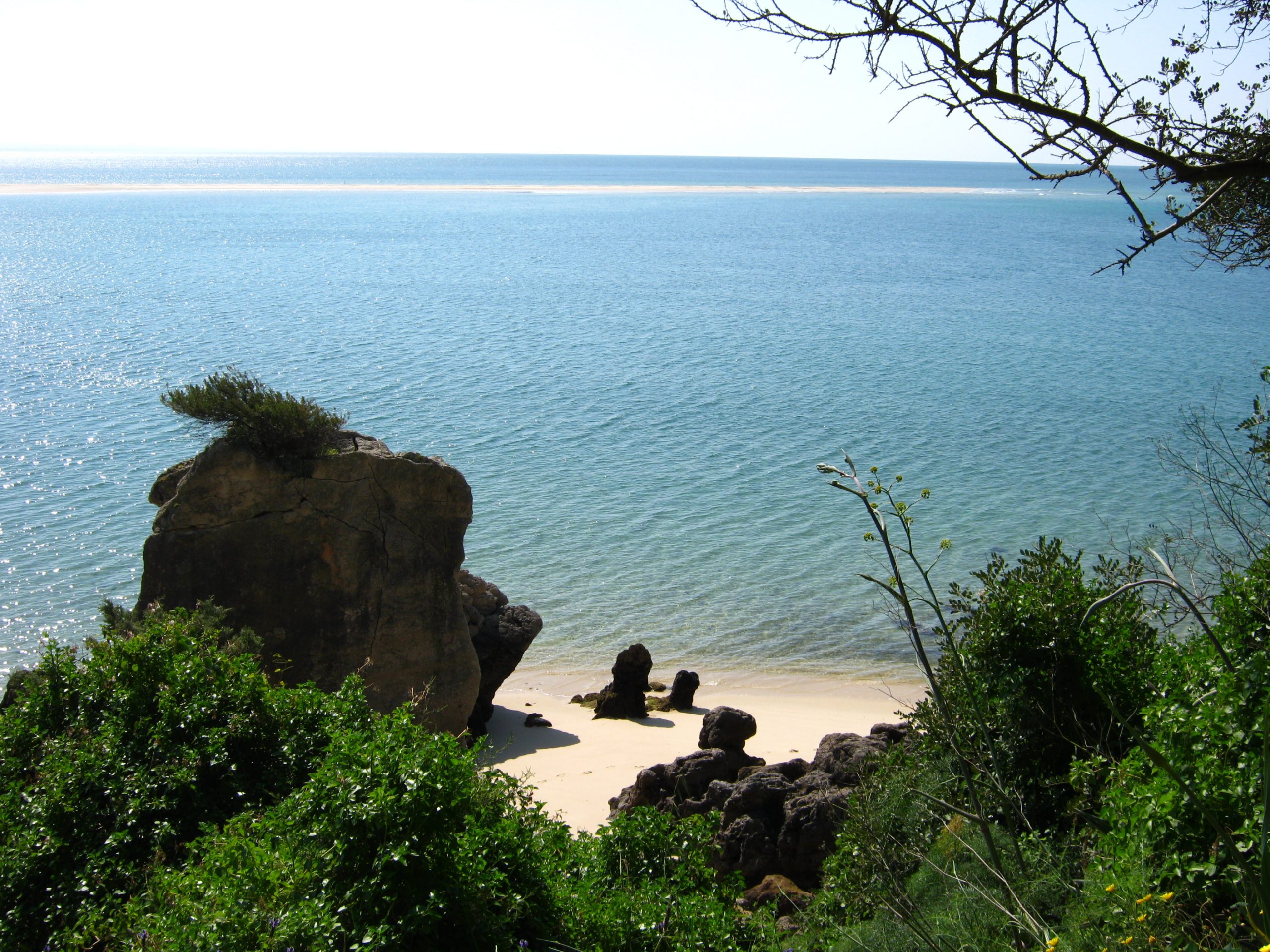 Jose Maria Da Fonseca Winery