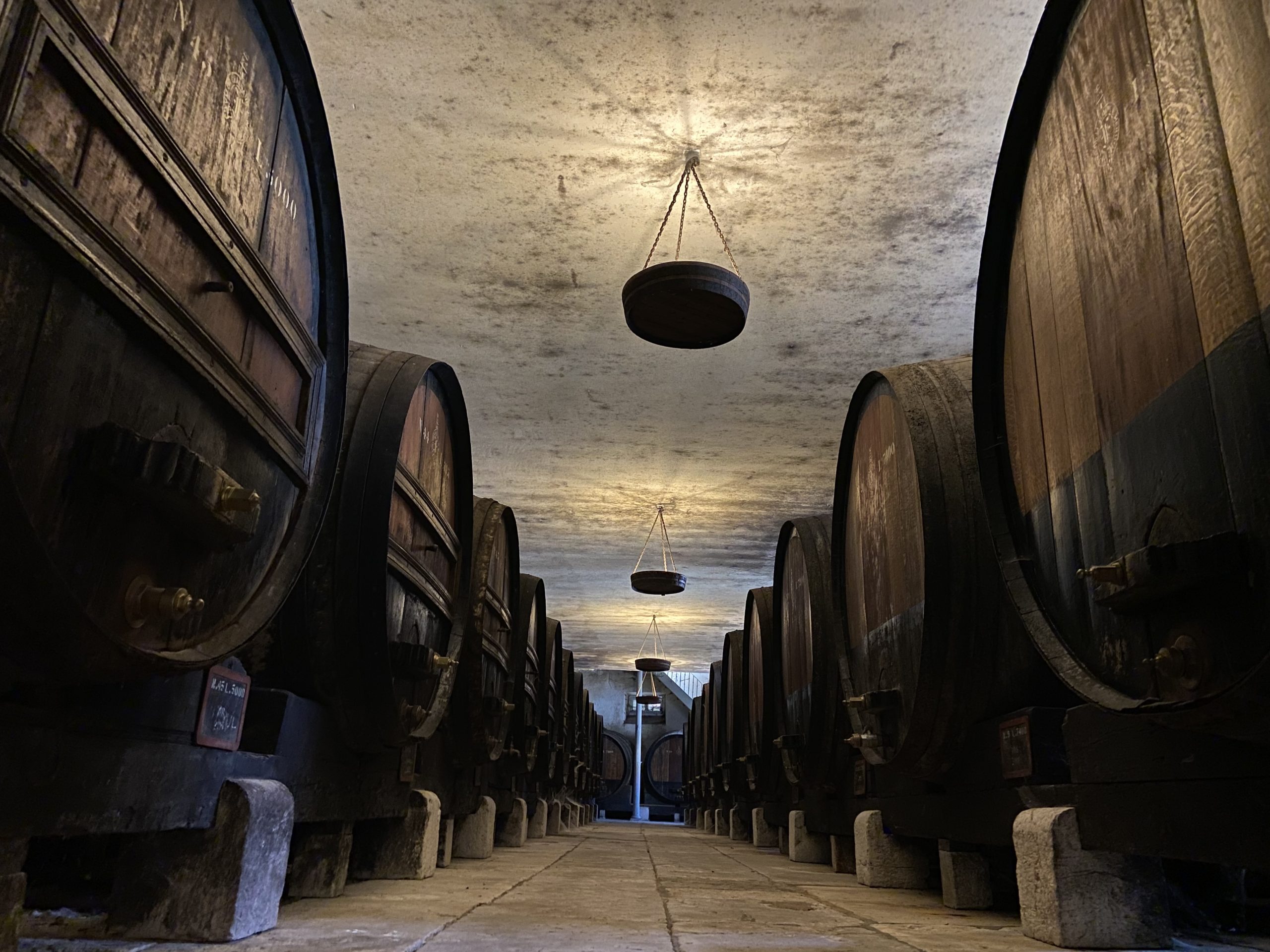 Jose Maria Da Fonseca Winery