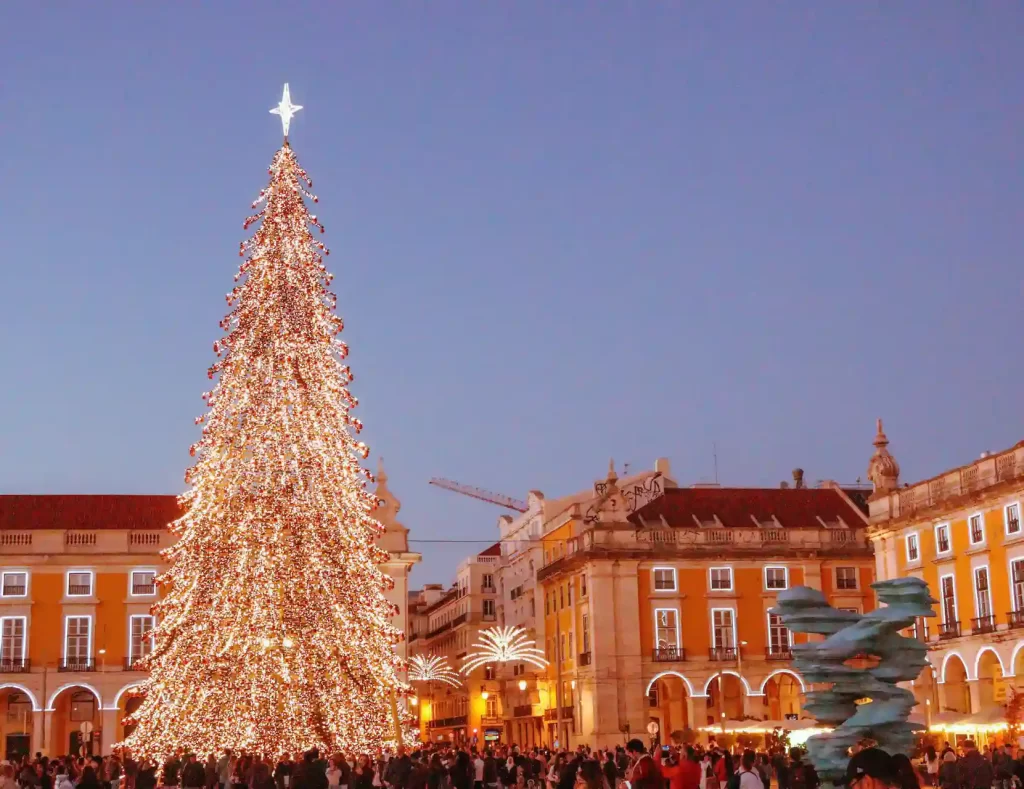 Whether you have already tour with us or are planning your first visit, we look forward to welcoming you in 2026 for even more unforgettable experiences across Portugal.